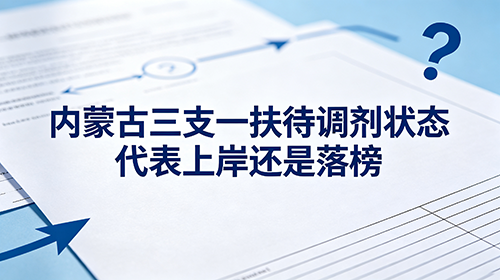 2026内蒙古三支一扶显示待调剂是什么意思?