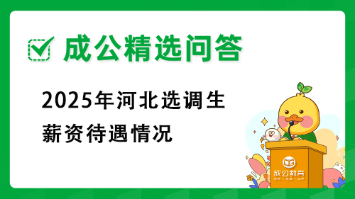 2025年河北选调生薪资待遇情况