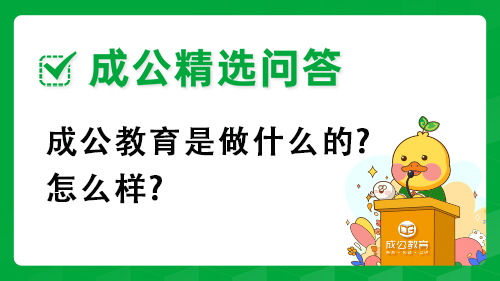 成公教育是做什么的?怎么样