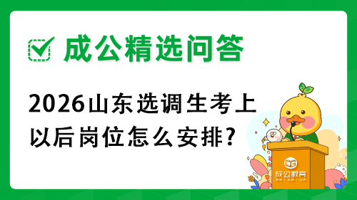 2026山东选调生考上以后岗位怎么安排?
