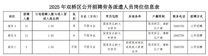 2025河北省承德市双桥区人力资源和社会保障局招聘28人公告 2025河北省承德市双桥区人力资源和社会保障局招聘28人公告